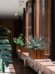 some plants that are sitting on the side of a window sill in front of a building