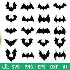 the silhouettes of bats are shown in different sizes and shapes, including one for each bat