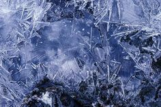 an image of ice crystals on the ground