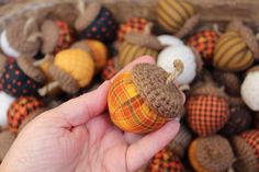 a hand holding an orange and brown stuffed animal in front of many small pumpkins