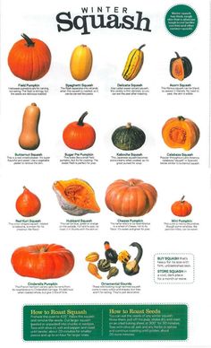 a poster showing different types of squash