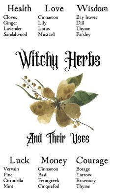 Herbs And Their Uses, Herbs And Plants, Witch Herbs, Green Witchcraft, Magia Das Ervas, Wiccan Magic, Earth Element, Witch Spirituality, Magic Spell Book