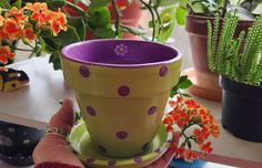 a hand holding a purple and green polka dot flower pot on top of a table