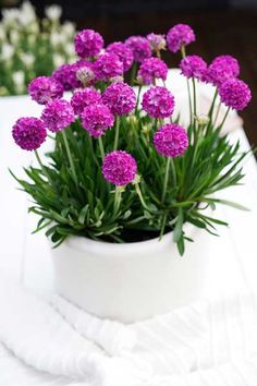 purple flowers are in a white vase on a table