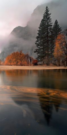 an image of a mountain lake with trees in the foreground and clouds in the background