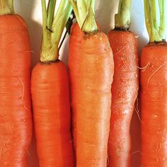 four carrots are lined up in a row