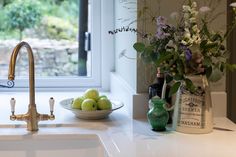 a bowl of fruit sitting on top of a kitchen counter next to a sink and window