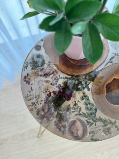 a plant is sitting on top of a glass table