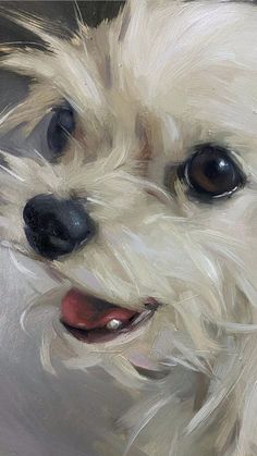 a painting of a small white dog with black eyes and long hair, looking at the camera