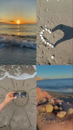 there is a hand that is holding shells in the sand at the beach and on the water's edge