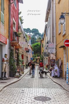 people walking down an alley way with shops on either side and one dog in the middle