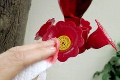 a person is holding a red flower in their hand