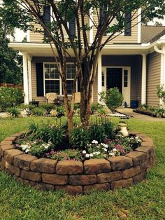 a tree in the middle of a flower bed