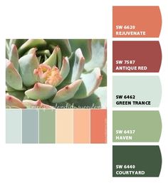 the color scheme is green, orange, and red with an image of a succulent