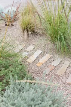 there are many steps made out of wood in the sand and plants on the ground