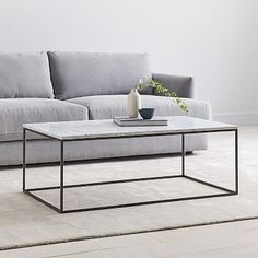 a living room with a gray couch and coffee table in front of the couch is a plant