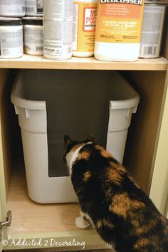 Home Made Litter Box Kitty, Litterbox Solutions, Litter Box Ideas, Kitty Ideas, Inside Cabinet, Hidden Laundry