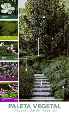 the steps are lined with plants and flowers in different stages of growth, along with text that reads palleta vegetal project jardin fresios