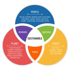 four circles with the words, people, and other things in them