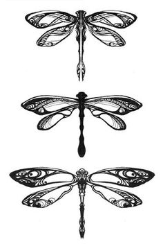 the dragonfly tattoo on pinterest is an interesting thing to see in this photo