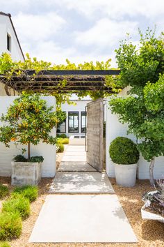 an entrance to a home with orange trees and potted plants