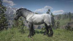 a large white horse standing on top of a lush green field next to a forest