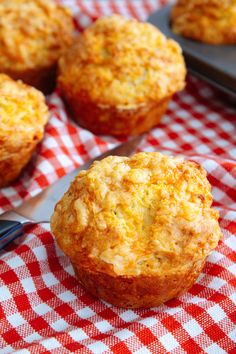 easy cheesy muffins on a red and white checkered tablecloth