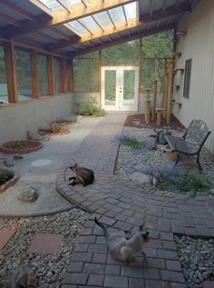 two cats are laying on the ground in front of a building with a glass roof