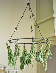 herb drying rack hanging from the ceiling