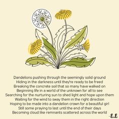 Dandelion Spiritual Meaning, Dandelion Symbolism, Dandelion Poetry, Dandelion Aesthetic, Sister Circle, Herbal Education, Crown Images