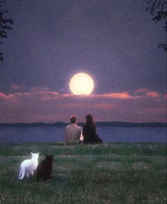 two people sitting on the grass with their cats looking at the moon in the sky