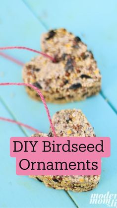 homemade bird seed ornaments with text overlay