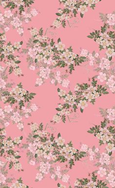 a pink floral wallpaper with green leaves and flowers on the bottom half of it