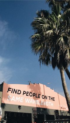 a palm tree in front of a pink sign that says find people on the same wave earth