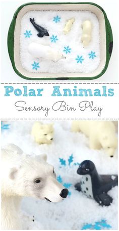 polar animals are shown in the snow and on the ground, as well as an animal play mat