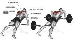 the back view of a man doing squats with dumbbells and barbells