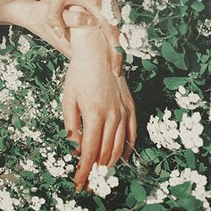 two hands holding each other over white flowers