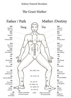 Kidney Meridian, Kidney Meridian Points, The Body Meridians, Chinese Meridian Chart, Acupuncture Meridians, Kidney Meridian Yin Yoga, Acupuncture Meridian Chart, Acupuncture Points Chart, Meridian Acupuncture