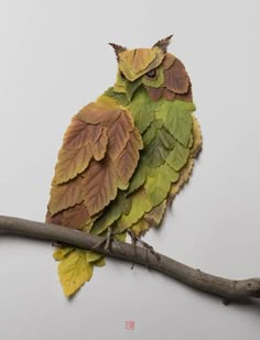 a small bird sitting on top of a branch with leaves around it's neck