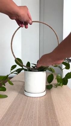 Here is some inspo for making a DIY climbing plant support@kansodesigns Indoor House Plant Combinations, Make Your Own Plant Pots, Hanging Flower Pots Diy, Diy House Plants Ideas, Diy Planter Pots Creative Ideas, Diy Plant Holders Indoor, Circle Wall Hanging Diy, Flower Support Ideas, Diy Plant Decor Indoor