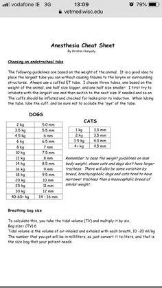 the measurements and height chart for an anteshia cheet sheet