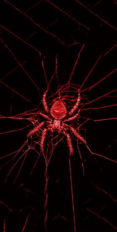 a large spider sitting on top of a black floor under a red light in the dark