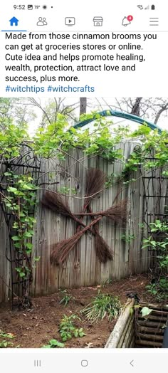 an outdoor garden with wooden fence and green plants