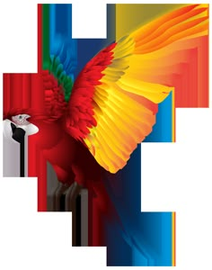 a colorful parrot flying through the air with its wings spread