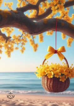 a basket hanging from a tree with yellow flowers on the beach in front of the ocean