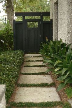 an entrance to a house with steps leading up to the door and plants in front