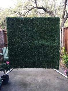 a large green hedge is in the middle of a yard