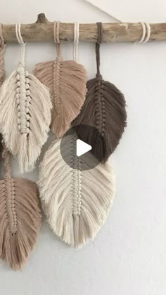 four different colored feathers hanging on a wall