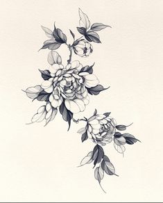 a black and white drawing of flowers