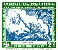 a postage stamp with an image of a praying mantiss on the front and back